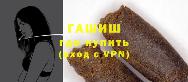 сатива Новозыбков