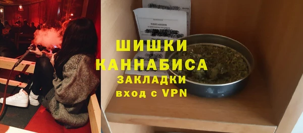шишки Абаза