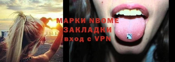 шишки Абаза