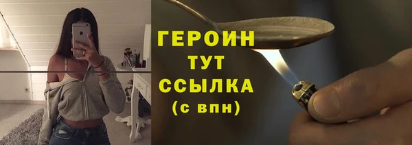 сатива Новозыбков