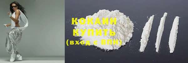 шишки Абаза
