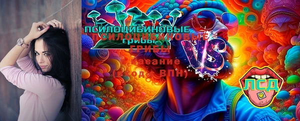 дурь Абдулино