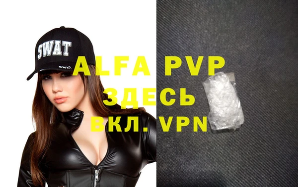 шишки Абаза