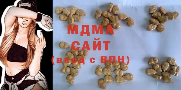 шишки Абаза