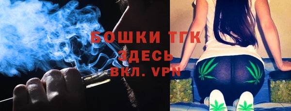шишки Абаза